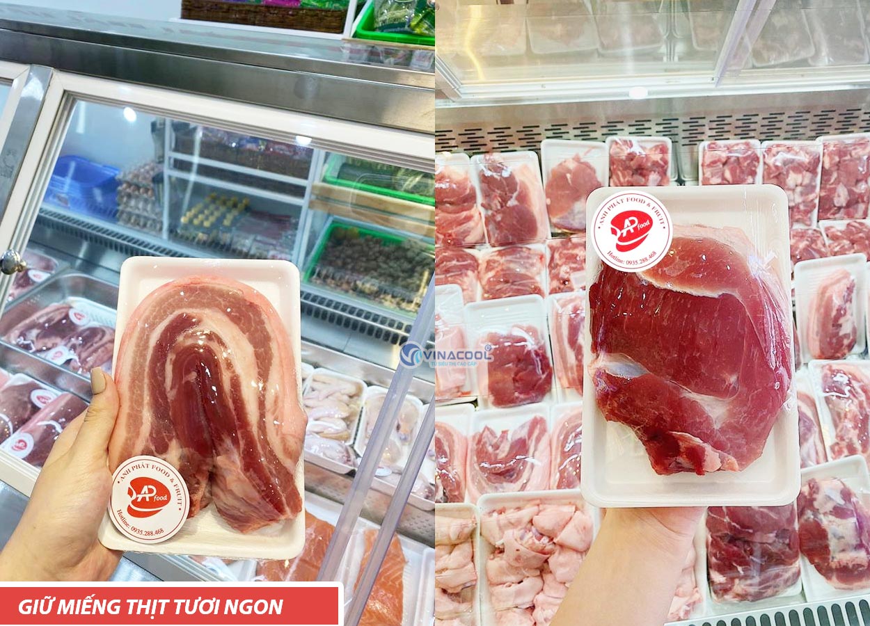 tủ bảo quản thịt lợn tươi sống