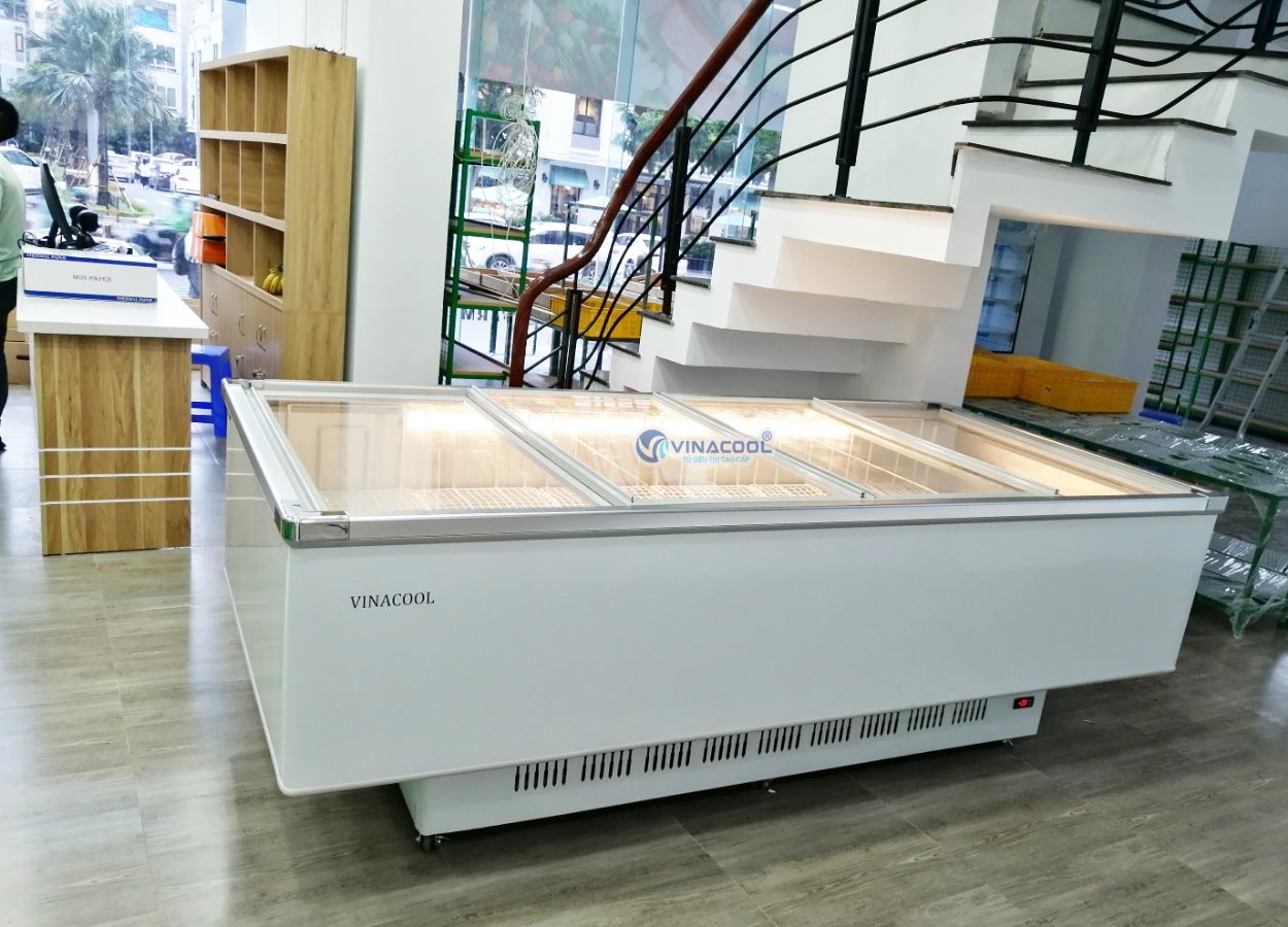 tủ đông cửa trượt