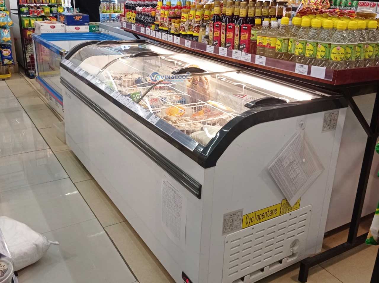 tủ đông dáng nằm