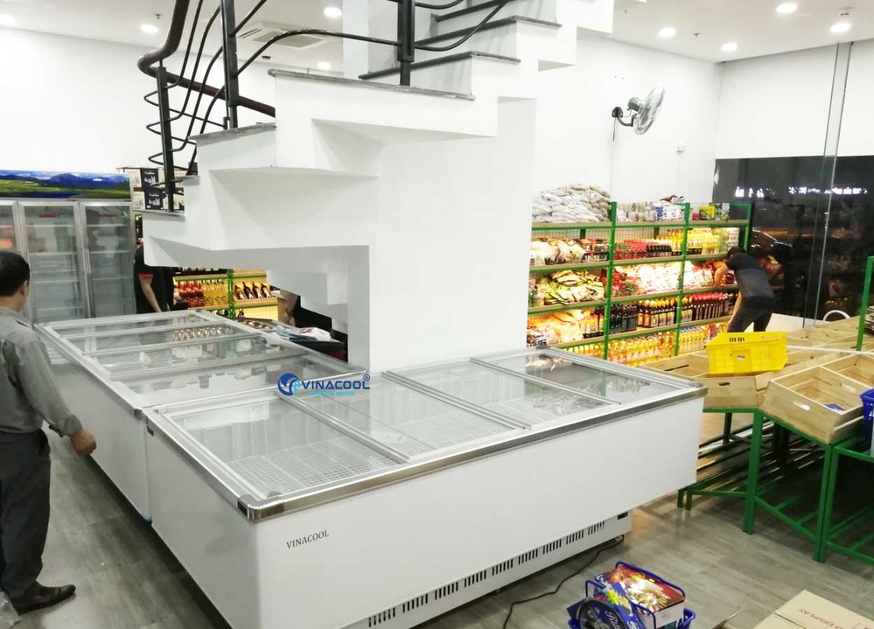 tủ đông kính phẳng dài 2m6