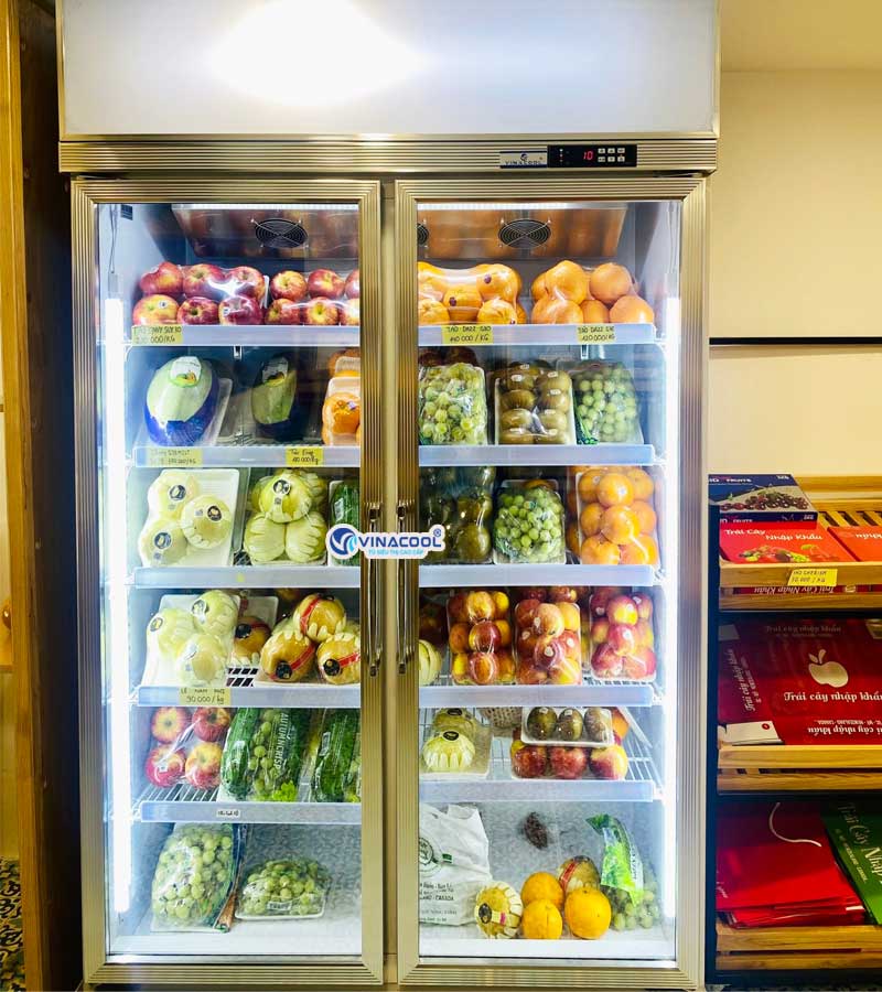 Tủ mát 2 cánh kính vinacool