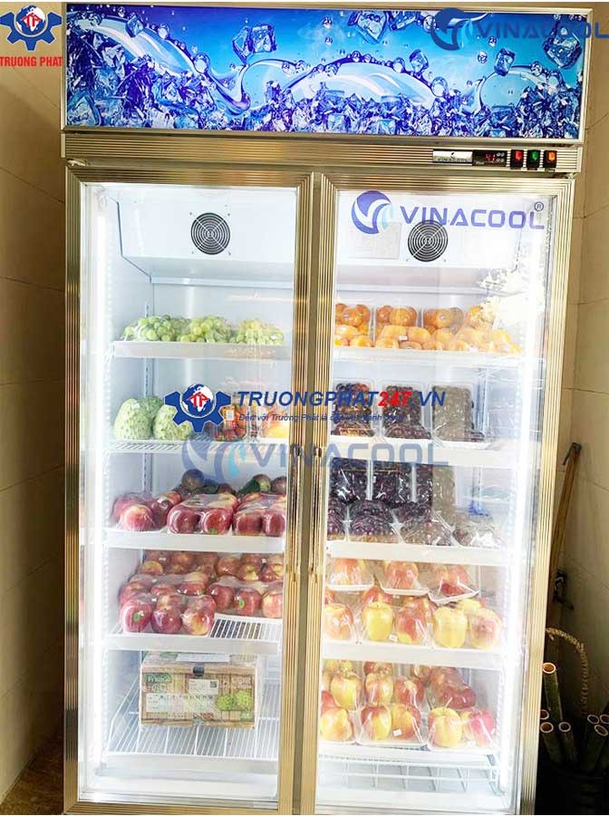 tủ mát 2 cánh kính vinacool