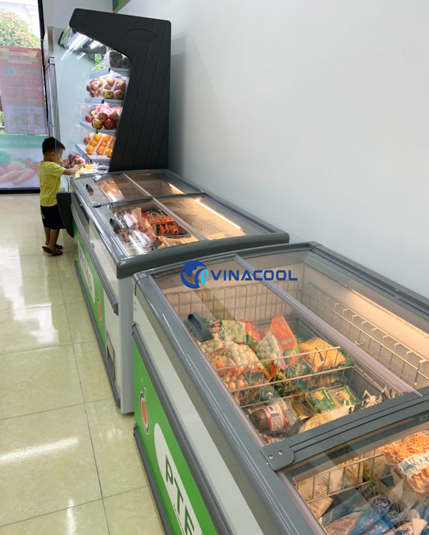 Tủ đông lạnh Vinacool
