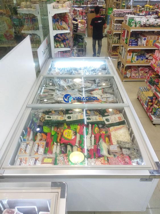 Tủ đông mặt kính vinacool