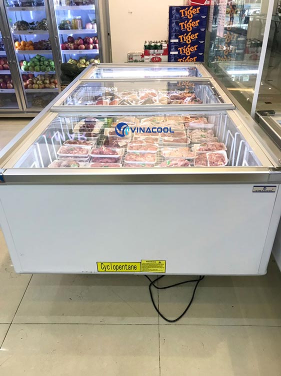 Tủ đông kính phẳng 2m6