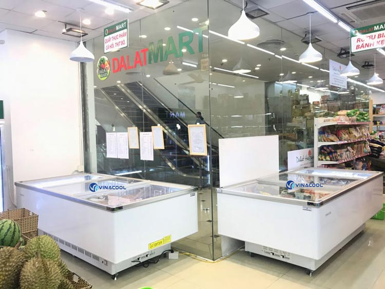 tủ đông dáng nằm Vinacool