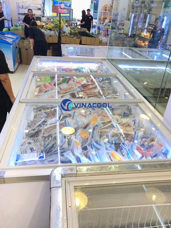 tủ đông lạnh nằm Vinacool