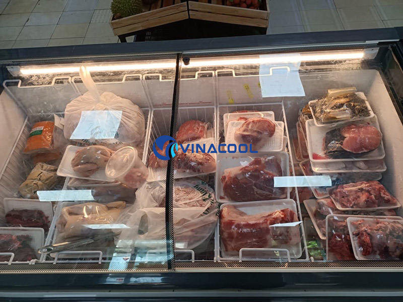 Tủ cấp đông giá rẻ Vinacool