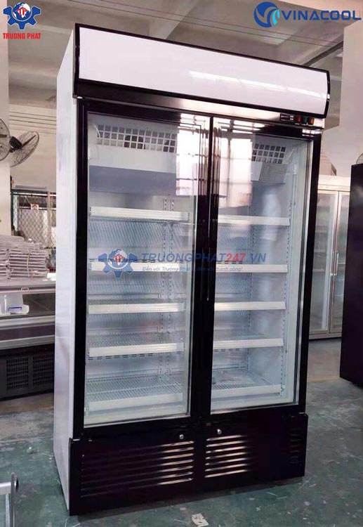 Tủ đông lạnh 2 cánh kính đứng
