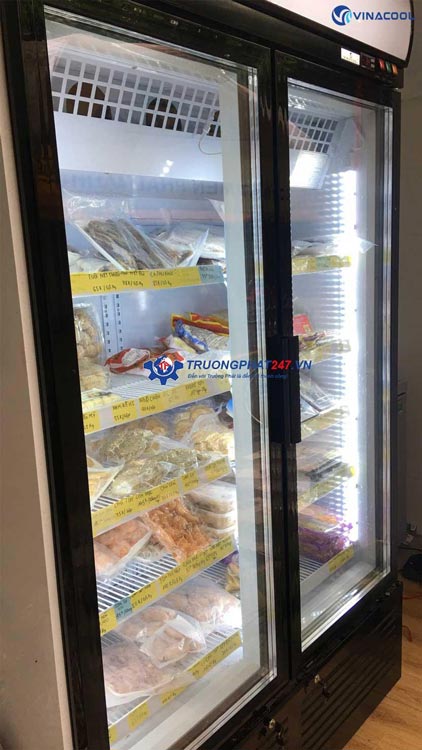 Tủ đông lạnh 2 cánh kính Vinacool