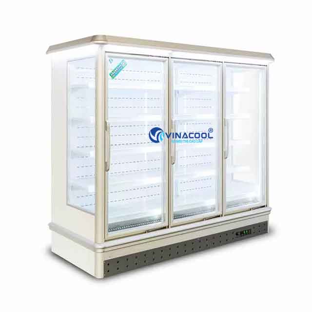 Tủ đông trưng bày thực phẩm đứng cao cấp