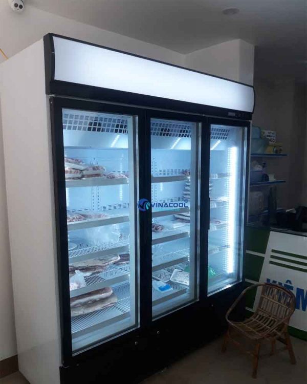 Tủ đông đứng mặt kính 3 cánh