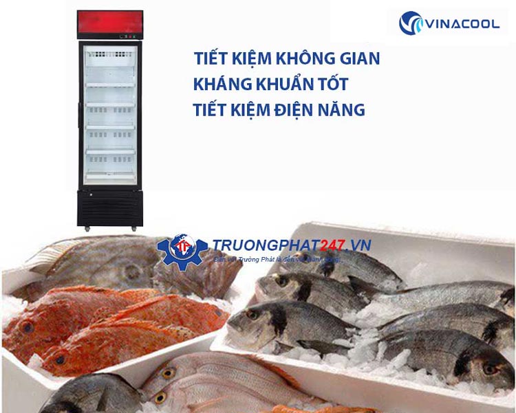 tủ đông đứng 1 cánh kính Trường Phát