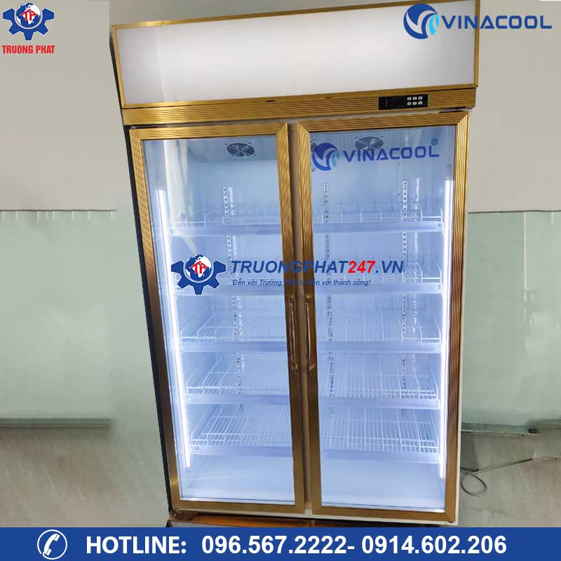 Tủ mát 2 cánh kính đựng trái cây Vinacool LG-126