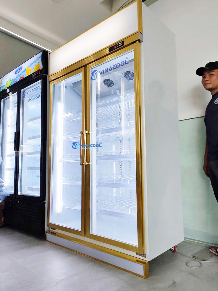 tủ mát 2 cánh kính Vinacool