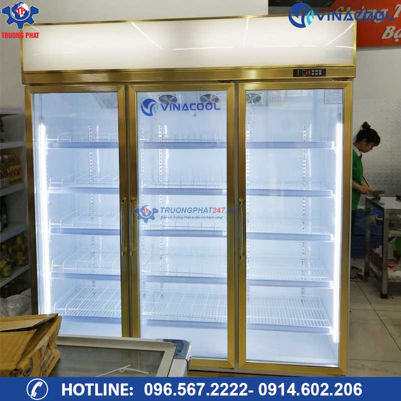 Tủ mát 3 cánh kính trưng bày hoa quả vinacool LG-186