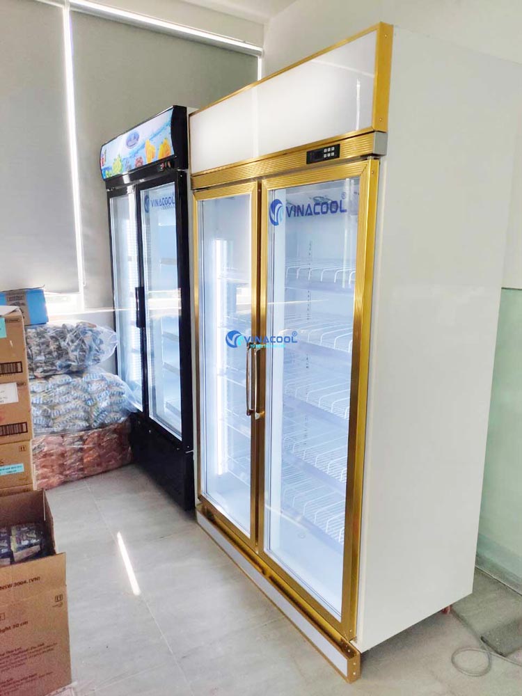 tủ mát 2 cánh kính trưng bày hoa quả vinacool
