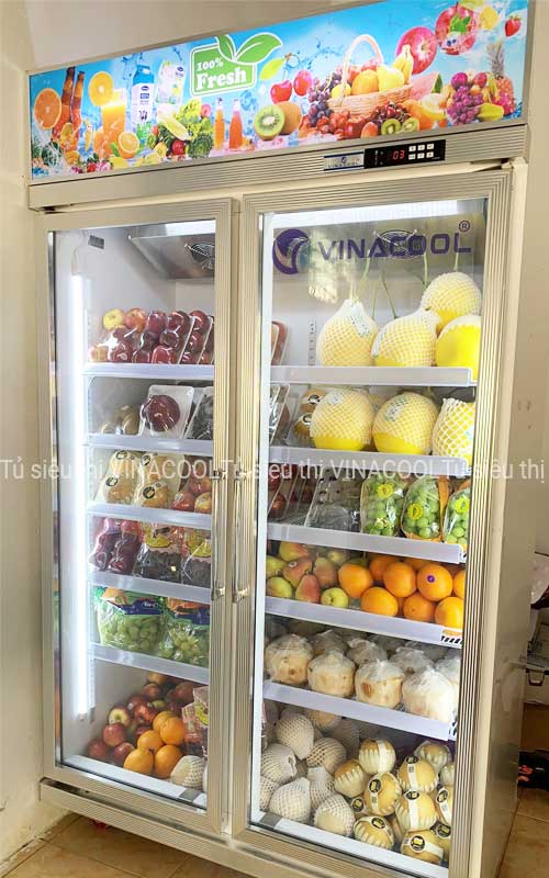 tủ mát 2 cánh kính