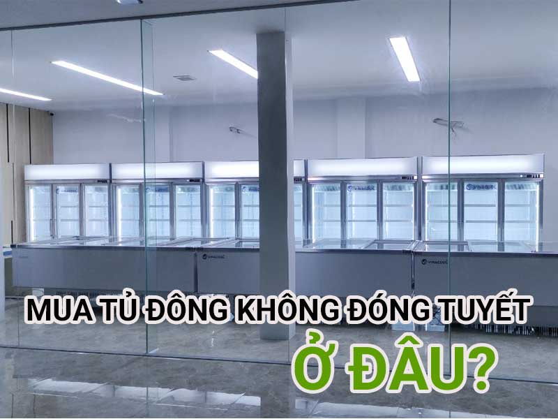 mua tủ đông không đóng tuyết ở đâu