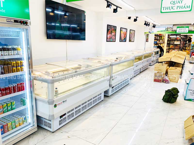 tủ đông nằm dalatmart