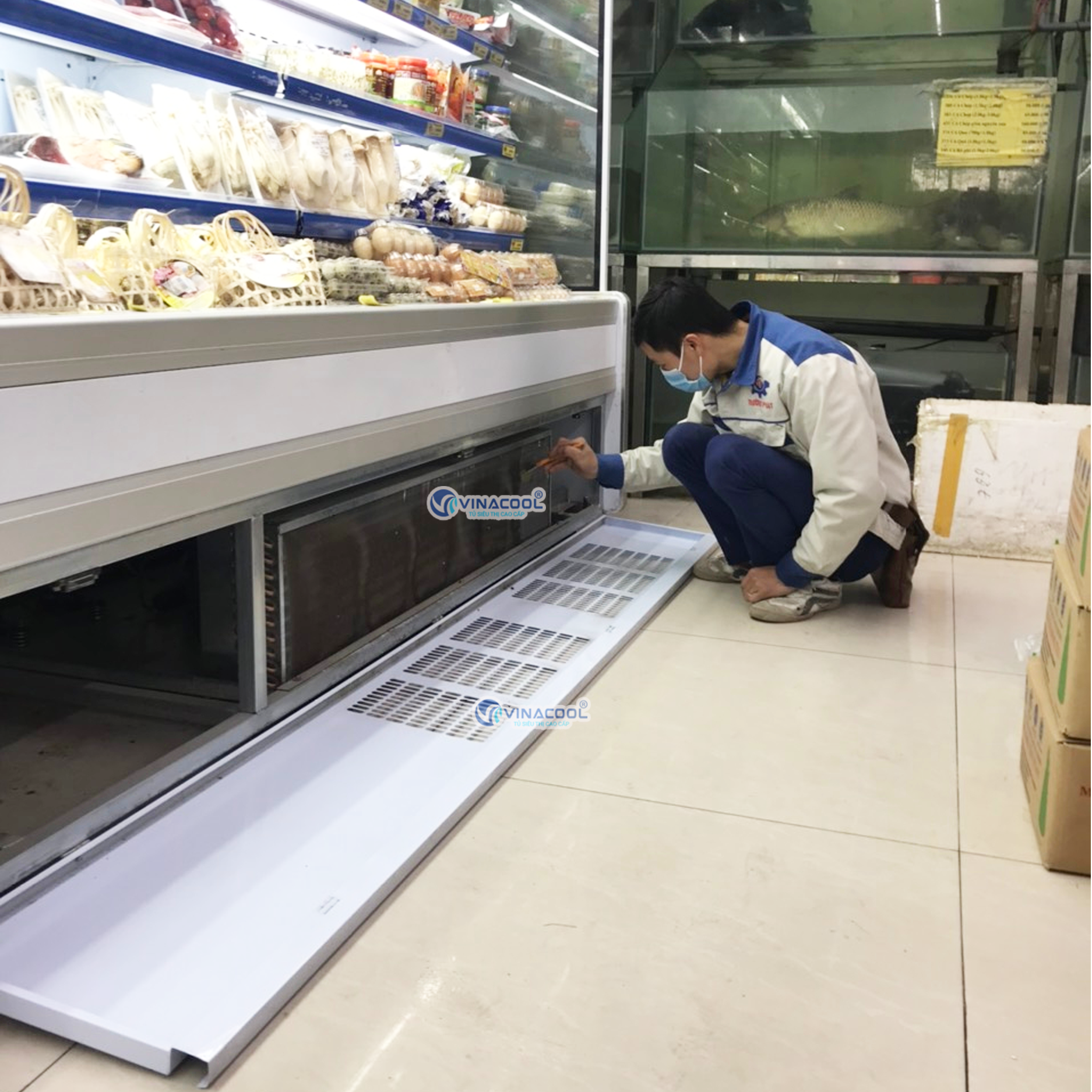 vệ sinh tủ mát tủ đông