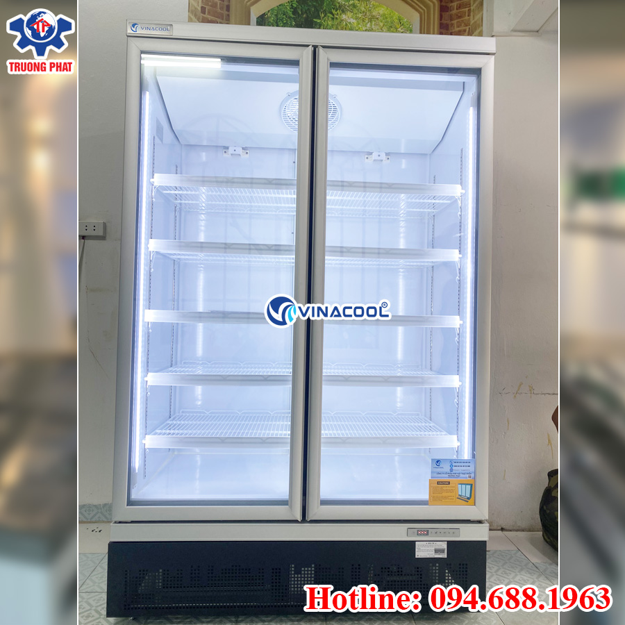 Tủ đông đứng 2 cánh kính cao cấp Vinacool