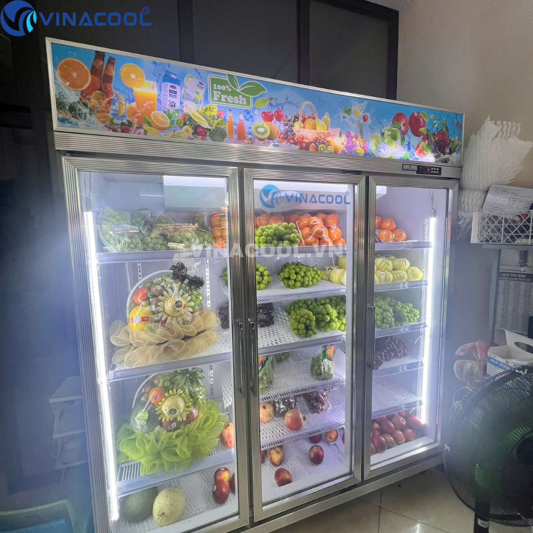mua tủ mát cánh kính
