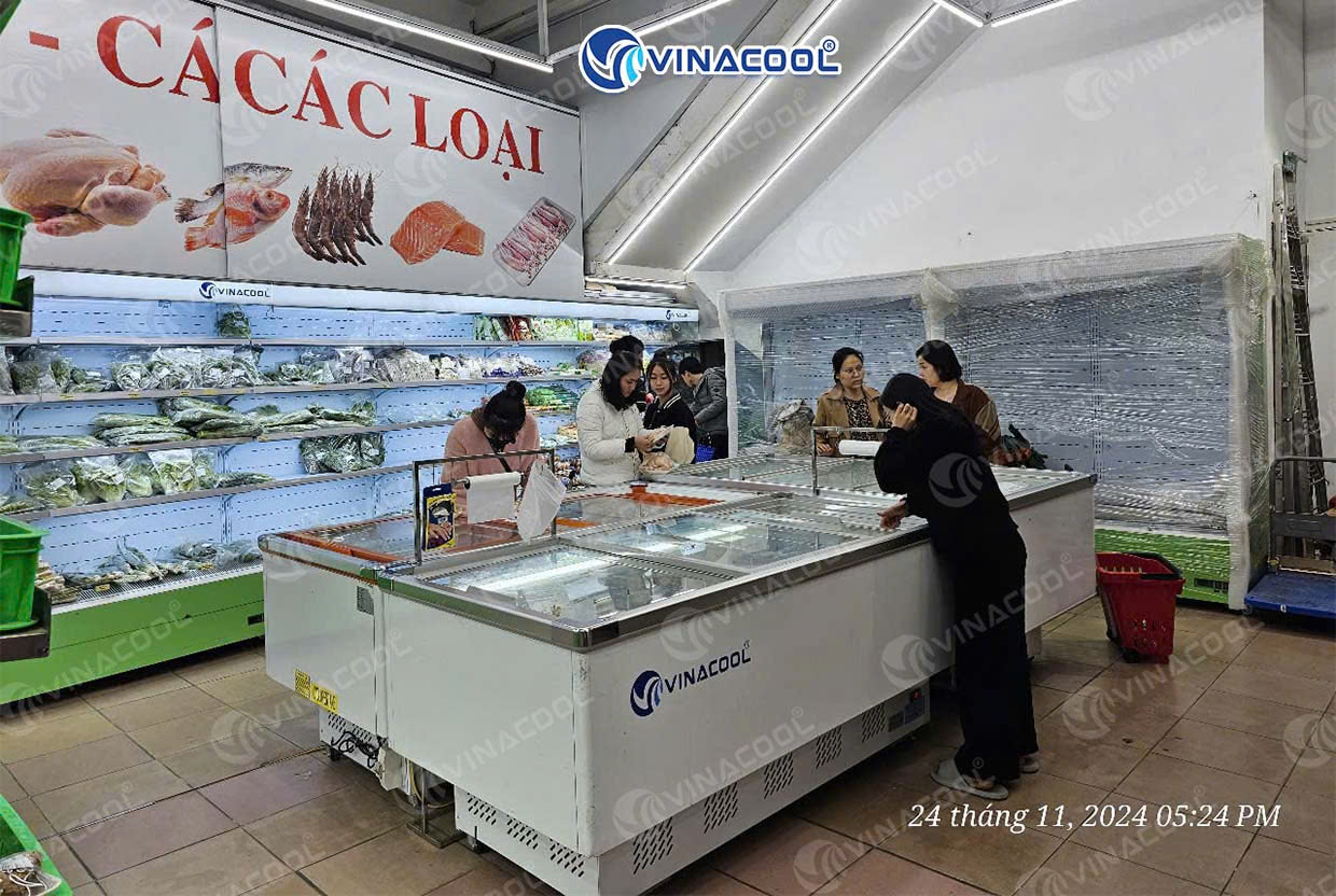 tủ đông giá rẻ