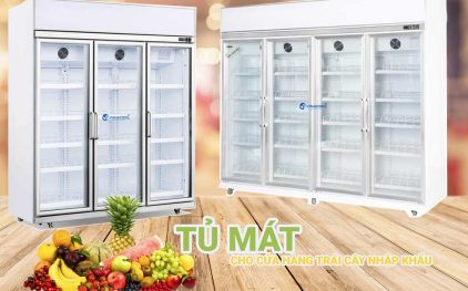Các mẫu tủ mát cho cửa hàng trái cây nhập khẩu