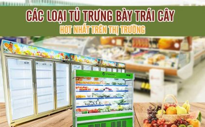 Báo giá các loại tủ mát trưng bày bảo quản trái cây hot nhất trên thị trường