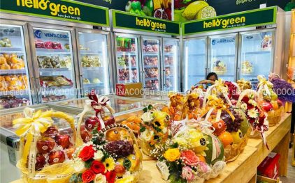 Tủ mát hoa quả siêu thị Vinacool – Sự lựa chọn hàng đầu của mọi khách hàng