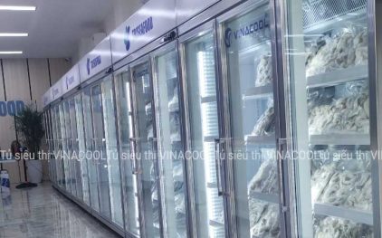 Hướng dẫn chỉnh nhiệt độ tủ đông đứng cánh kính