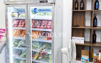 Tủ mát 2 cánh giá bao nhiêu?